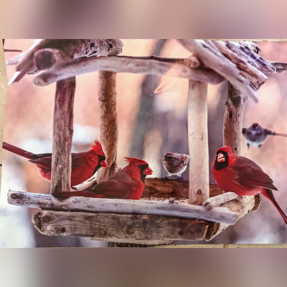 Cardinal puzzle